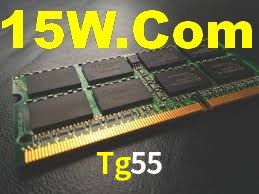 Tournaments Tg55