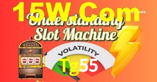 VIP Casino Tg55